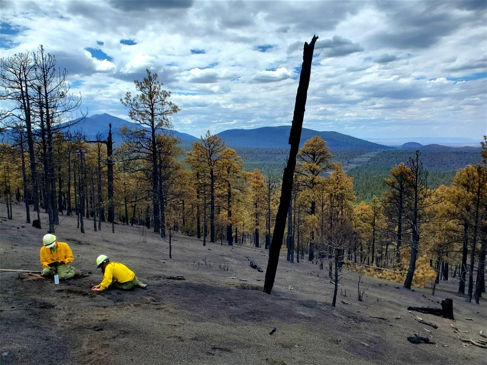 BAER team assesses soil burn severity on Haywire Fire