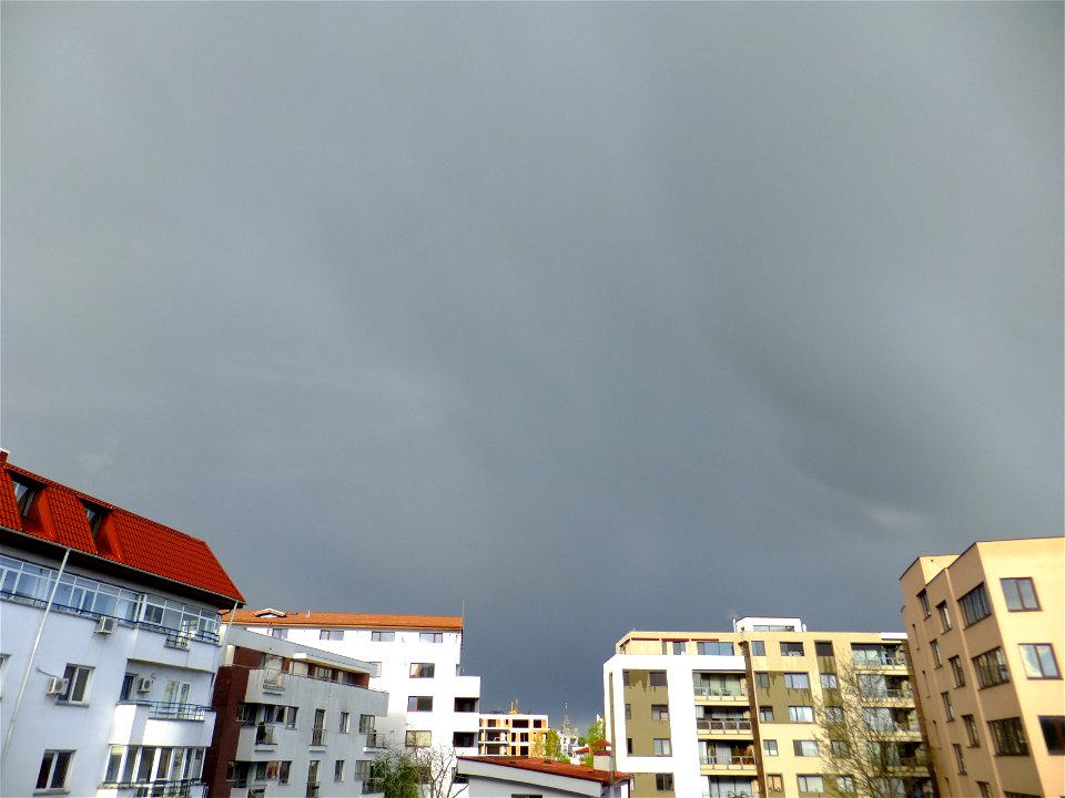 nori-sediuNCramfil2015_0422_080514