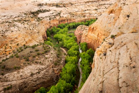 Grand Staircase-Escalante National Monument - 25th Anniversary