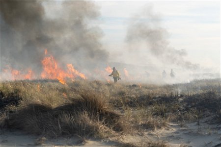 Siuslaw Oregon Dunes Prescribed Burn 2022