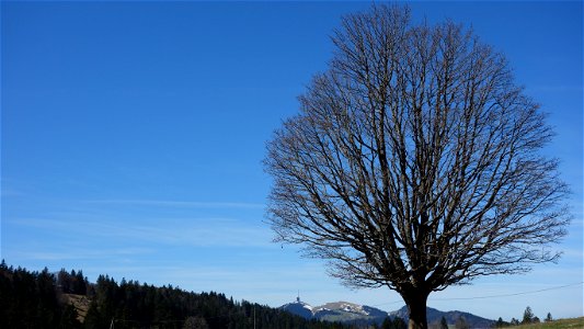 DSC09262