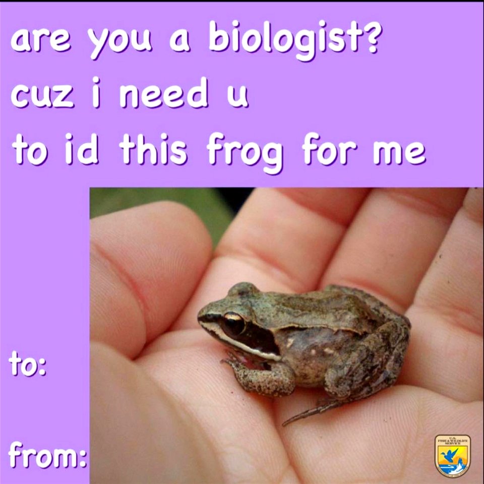 Are you a biologist? Valentine's Day Card photo