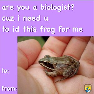 Are you a biologist? Valentine's Day Card