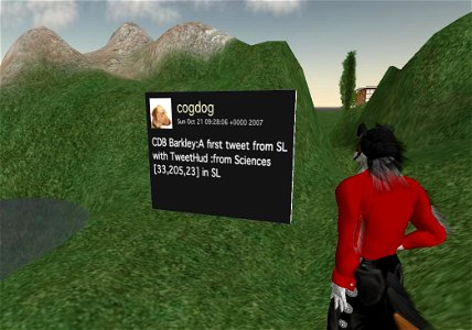 Twitter in/from Second Life photo