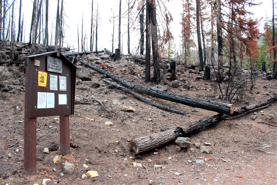 Pacific Crest Trailhead at Olallie Lake on Mt. Hood National Forest after Lionshead Fire
