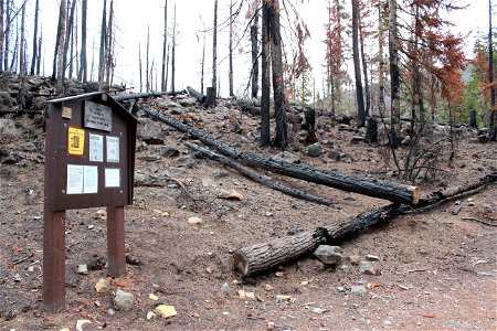 Pacific Crest Trailhead at Olallie Lake on Mt. Hood National Forest after Lionshead Fire photo