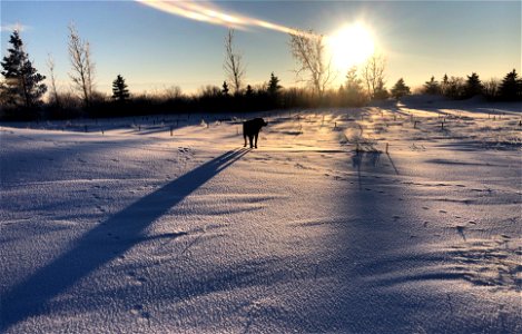 Leading Shadow and Light Lines photo