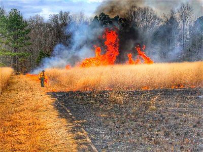 Personnel Category - USFWS 2022 Photo/Video Contest