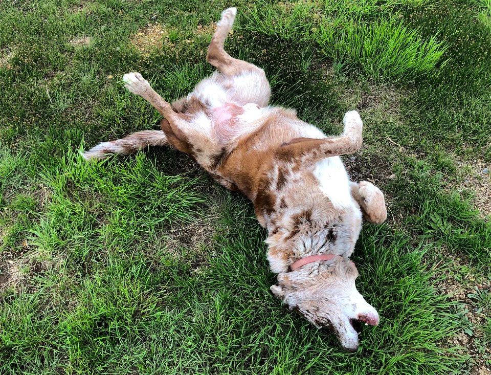 2022/365/140 Joy in Rolling