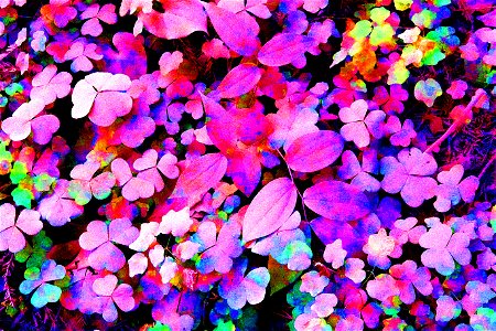 PHOTOSHOP WATERCOLOR STUDIES - Dust on roadside plants, del norte co, ca -15