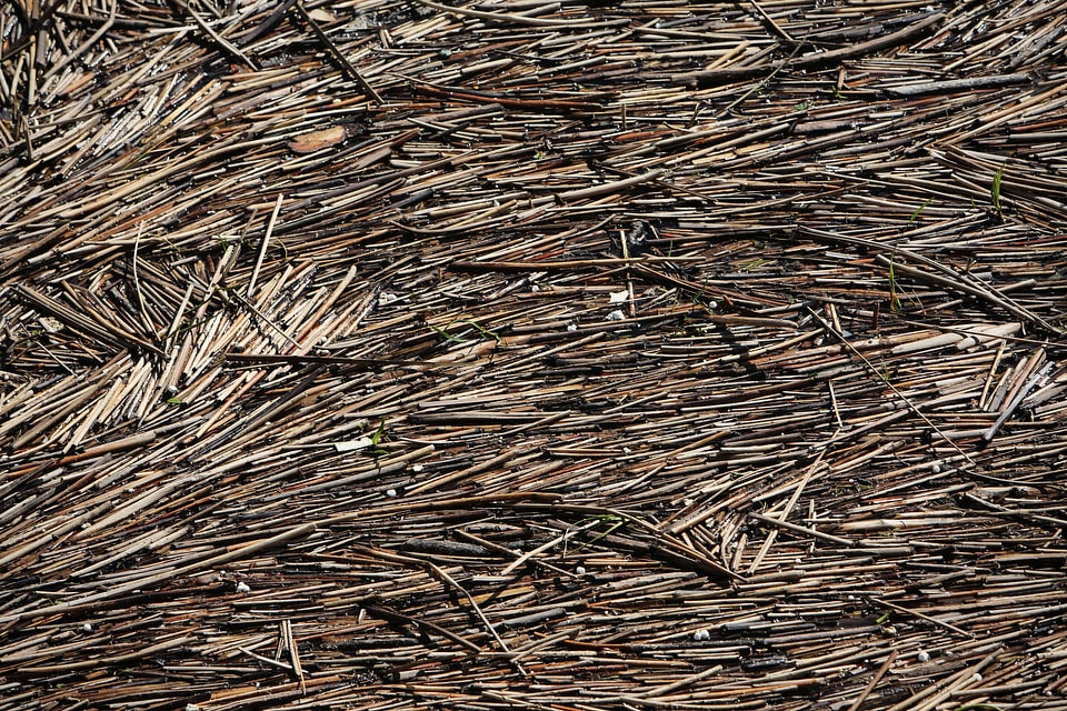Montreal quebec texture