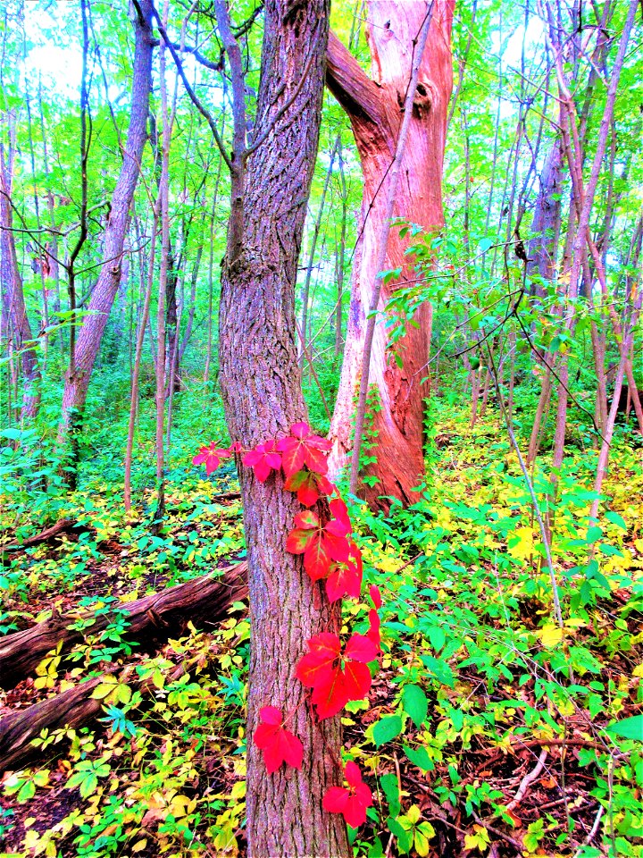 the pace of autumn