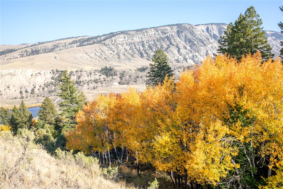 Aspen and Mount Everts