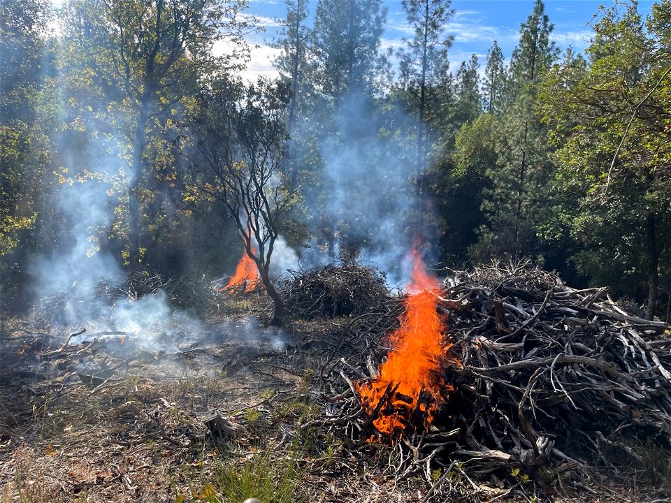 RX Burn at 'Inimim Forest