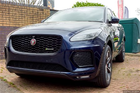 Jaguar 🐆