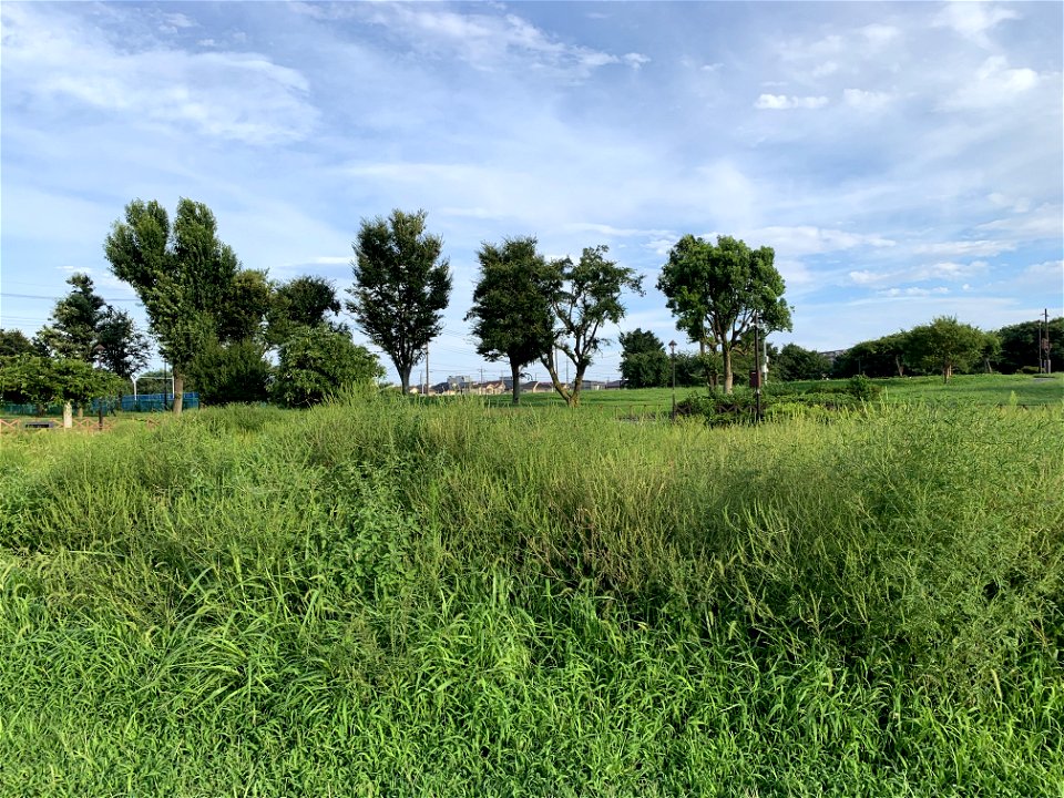 Rokusen Park in Higashikurume-shi