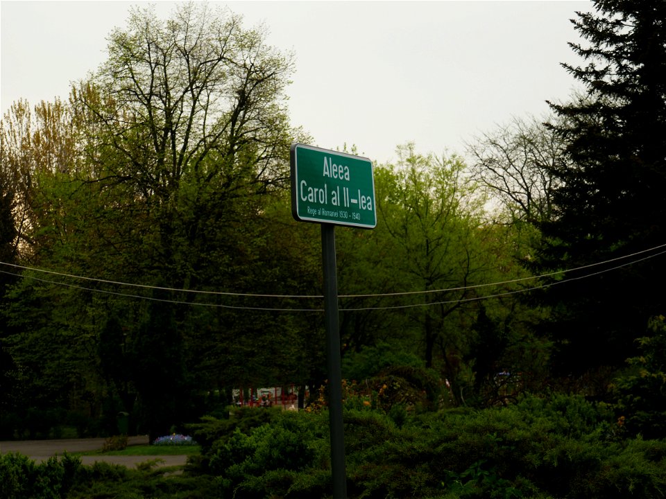 Herestrau Park in spring (123)