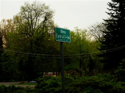 Herestrau Park in spring (123)