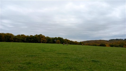 Paturage, Bonnac, Pamiers