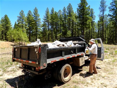 Pickin' Up in the Pines May 2022