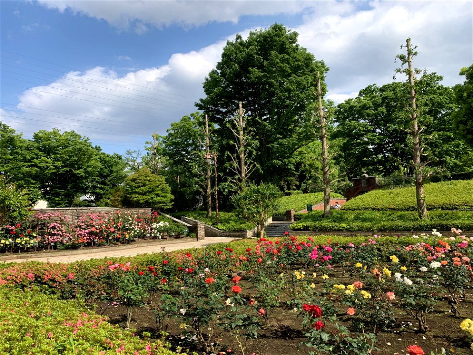 Akirudai Park in Akiruno-shi