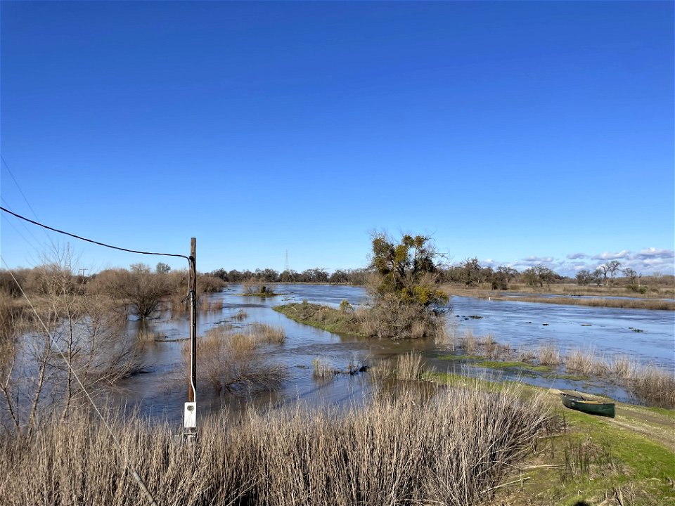 Flooded habitat