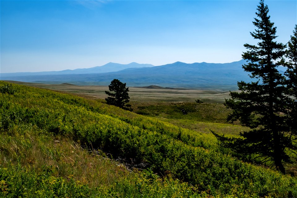 Looking E towards Middle and East Butte, Sweet Grass Hills