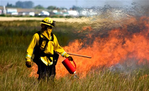 BLM’s Folsom Lake Veterans Crew perform RX Burn at Cosumnes River Preserve restoring critical habitat.