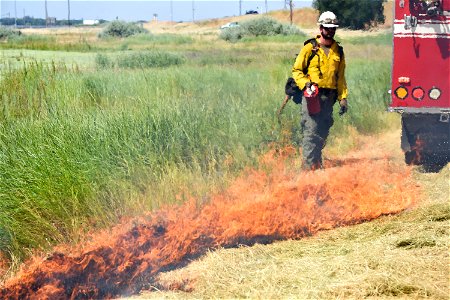 BLM’s Folsom Lake Veterans Crew perform RX Burn at Cosumnes River Preserve restoring critical habitat.