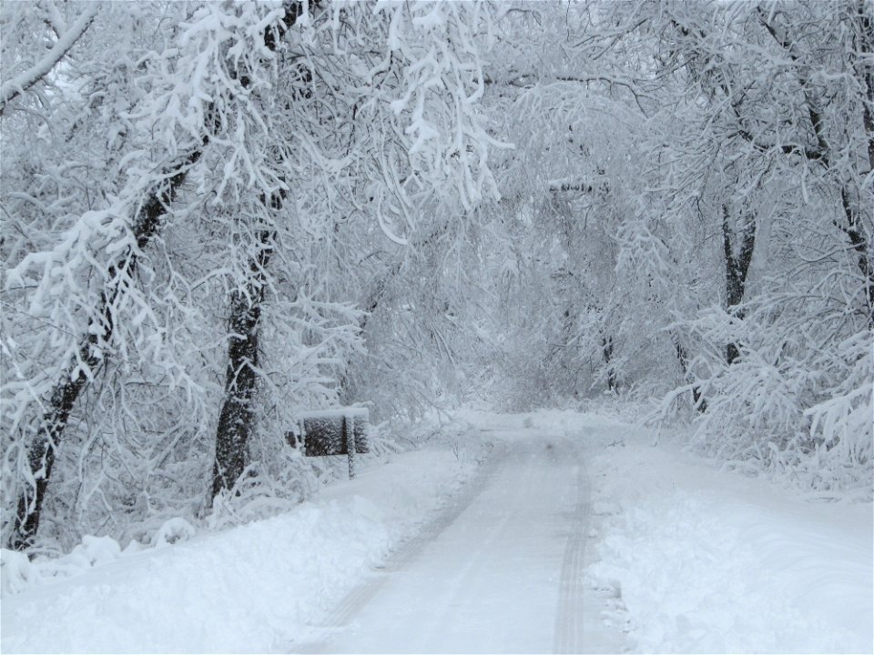 Winter at Trempealeau National Wildlife Refuge in Wisconsin photo