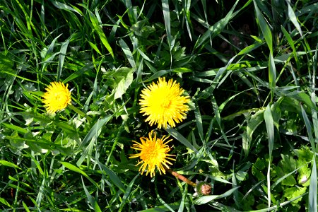 Spring ,April 2023
