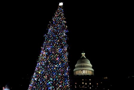 CapitolXmasTreeLighting-WashingtonDC-042