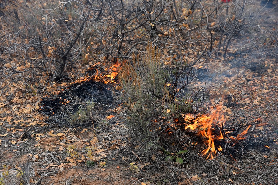 Ray Mesa Prescribed Burn Fall 2021