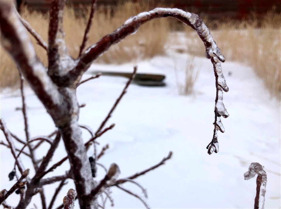 Arc in Ice