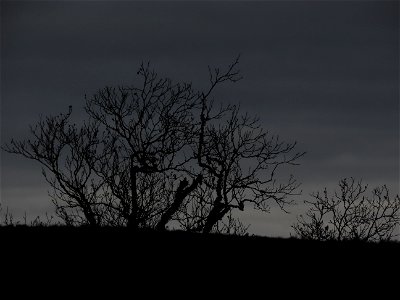 20211026-FS-Superior-SAR-023