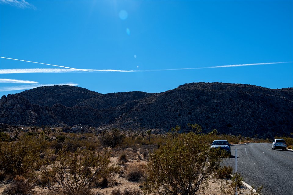 Joshua Tree National Park