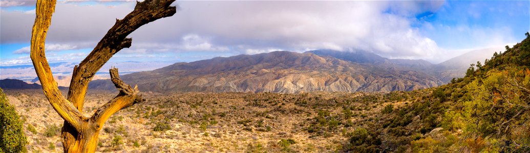 Santa Rosa San Jacinto Mountains National Monument photo