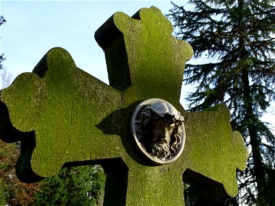 Schaduw werpen