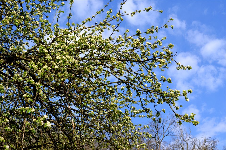 Spring ,April 2023