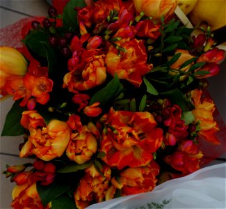 flori_flowers-wife-2023_0227_202256