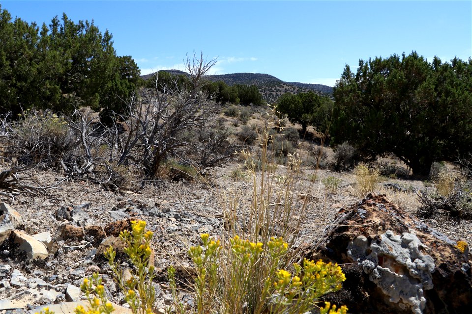 Fuel Type near Five Mile Pass; Lehi, Utah
