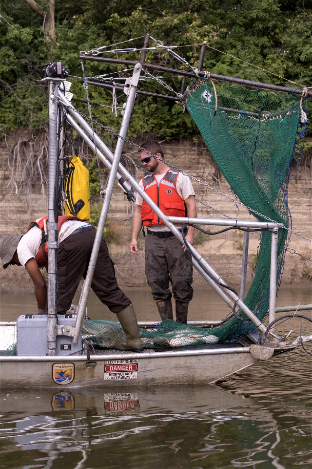 Invasive Carp Research on the James River in South Dakota. Photo: Sam Stukel (USFWS)
