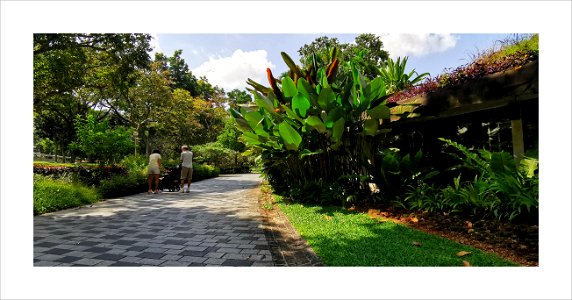 Garden and park - family love
