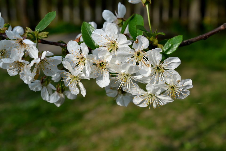 Spring ,April 2023