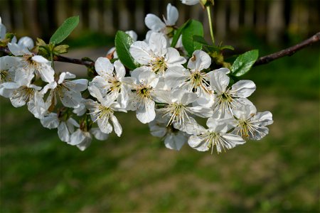 Spring ,April 2023