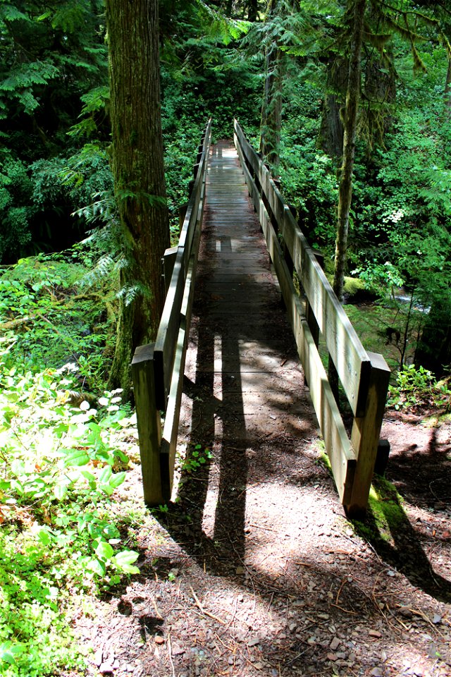 img_1469_north-approach-going-back-to-the-trailheadjpg_49364707227_o