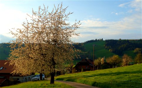 DSC09439