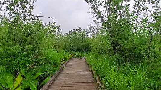 Hiking Big Four on a cloudy day, Mt. Baker-Snoqualmie National Forest. Video by Holly Snarr July 17, 2020