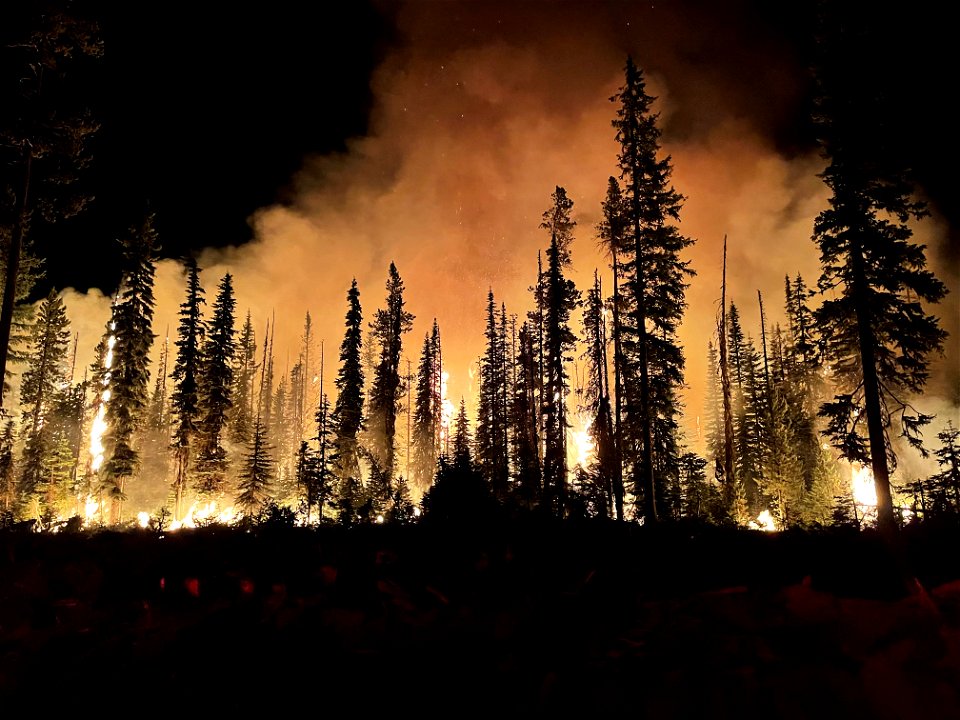 Lick Fire on the Umatilla National Forest burning at night