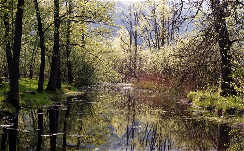 River scene photo